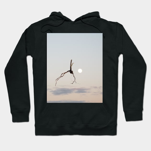 Icarus 2 Hoodie by Kavatar